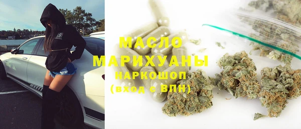 индика Сосновый Бор