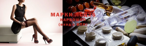 индика Сосновый Бор