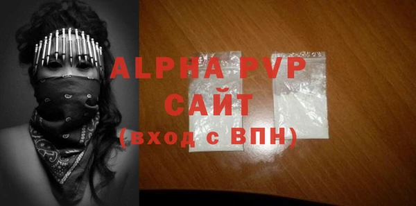 индика Сосновый Бор