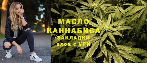 индика Сосновый Бор