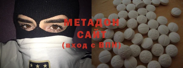 индика Сосновый Бор