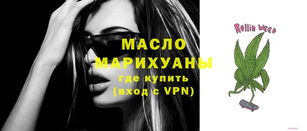 индика Сосновый Бор