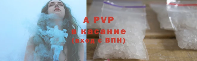 индика Сосновый Бор