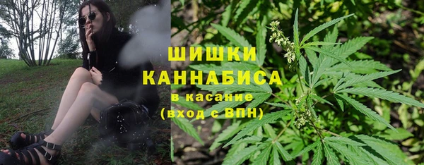 соль ск Строитель