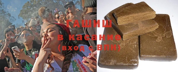 индика Сосновый Бор