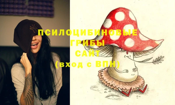 соль ск Строитель