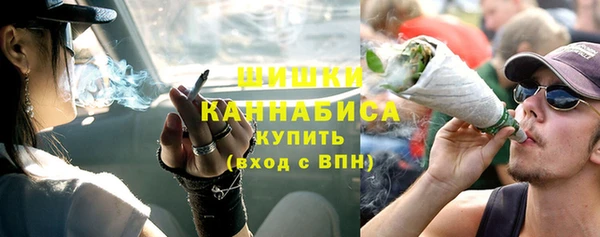 индика Сосновый Бор
