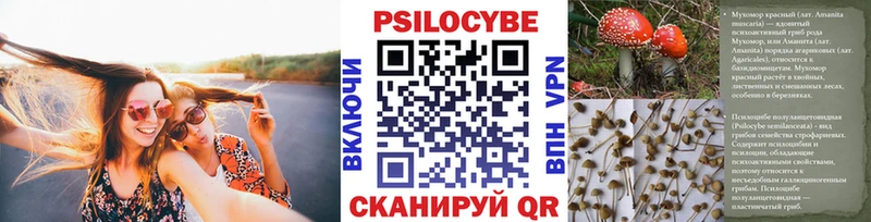Псилоцибиновые грибы Cubensis  Купить где  Новосиль 